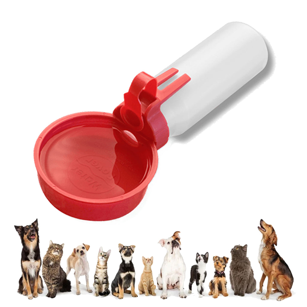 Water Rover Regular 4-Inch Bowl and 15-Ounce Bottle, Red