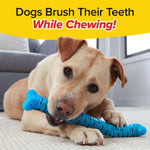 k9 dog toys