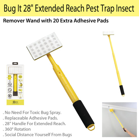 insect trap