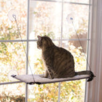 Cat Lounge Window Cling