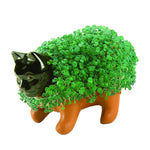decorative plant pots