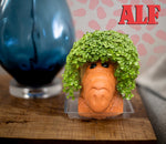 plant pots