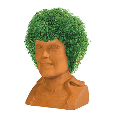 chia seed planter