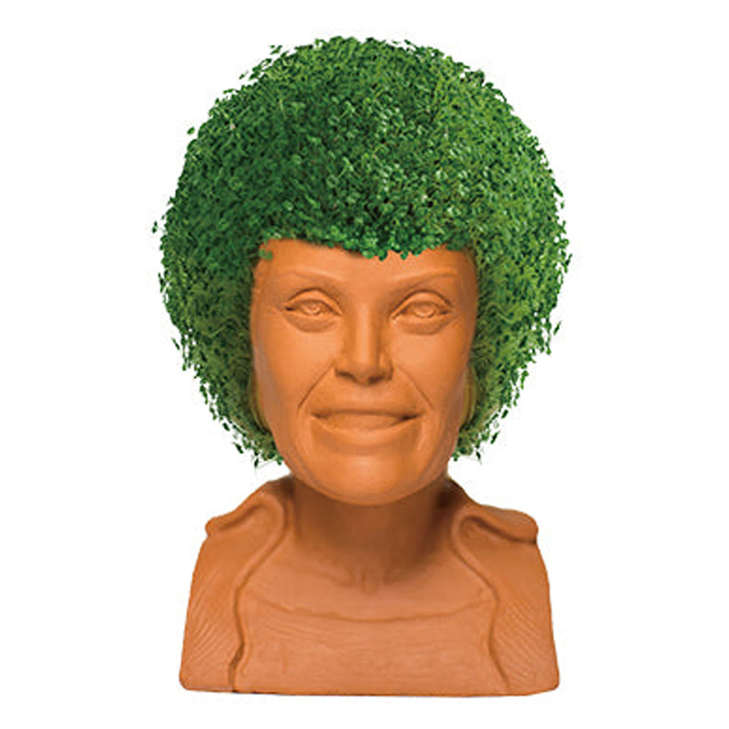 plant golden