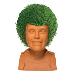 plant golden