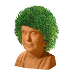 dorothy chia pet