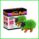 Chia Pet Planter - Kitten