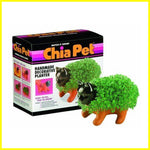 Chia Pet Planter - Kitten