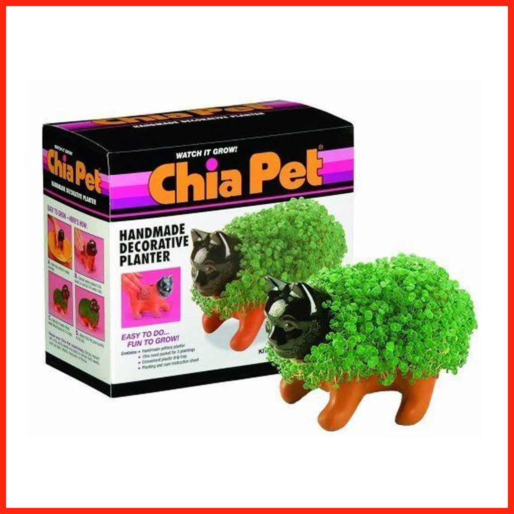 Chia Pet Planter - Kitten