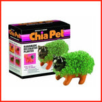Chia Pet Planter - Kitten