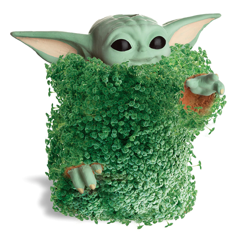 planter pot