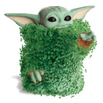 planter pot