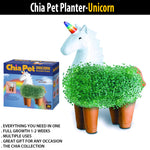 indoor flower pots