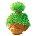 indoor pots