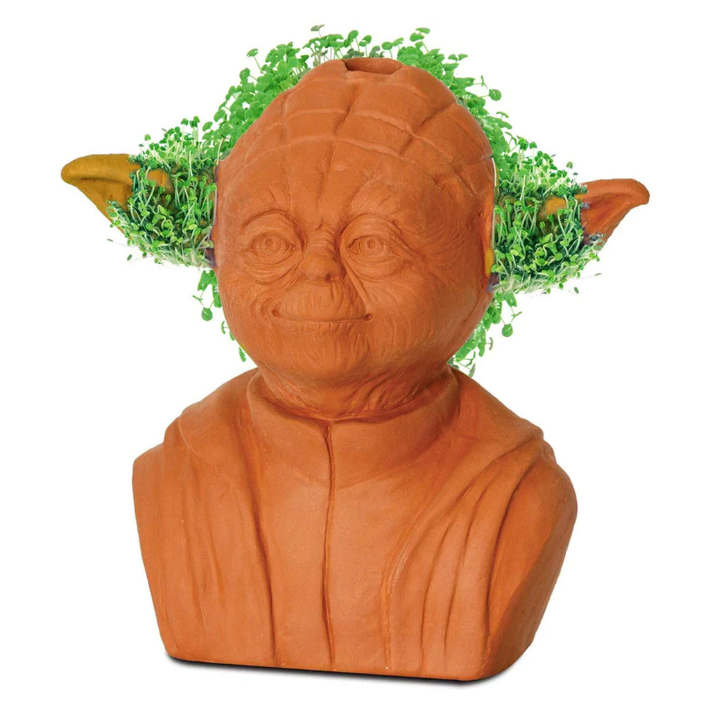 Chia Pet Planter - Star Wars Yoda