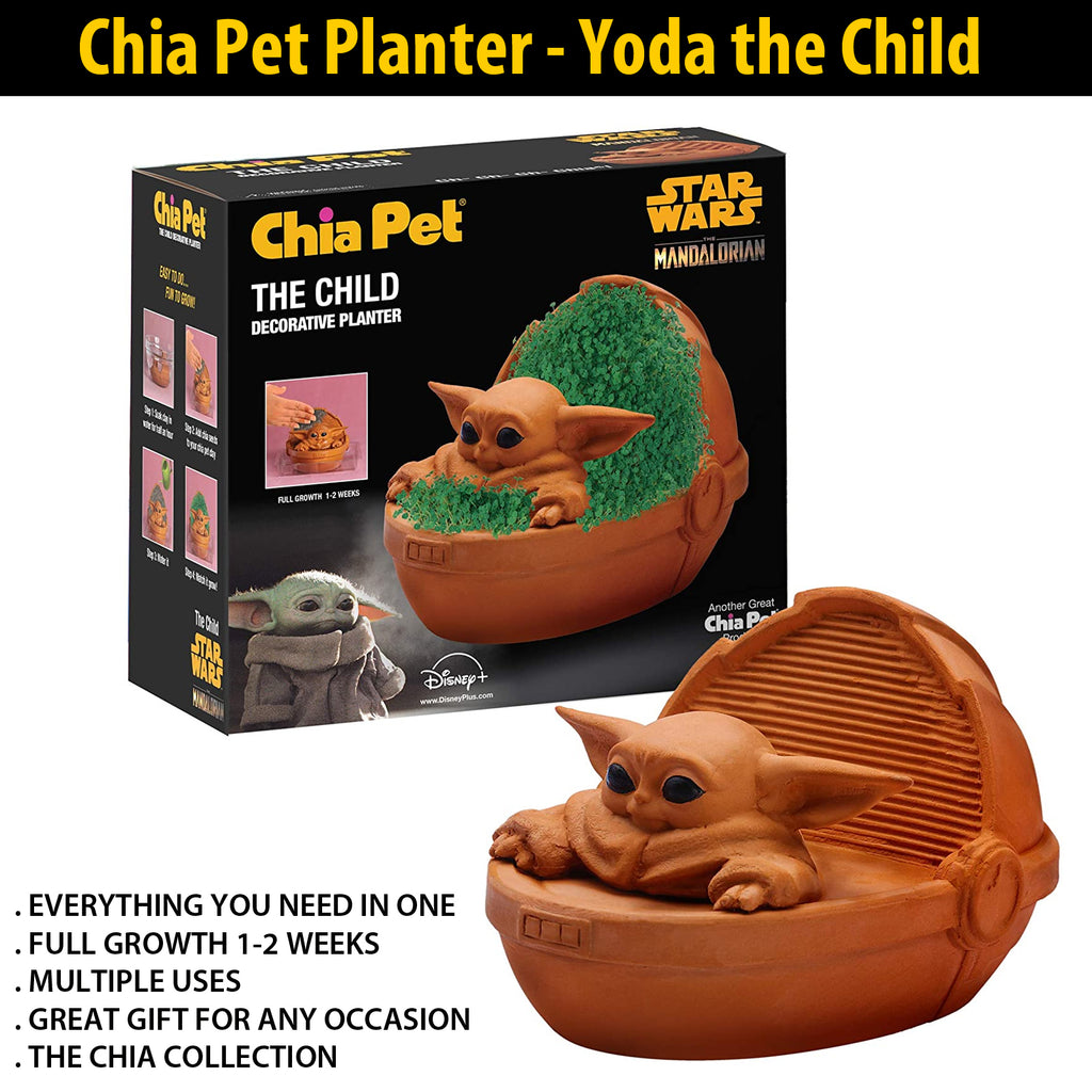 chia planter