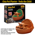 chia planter