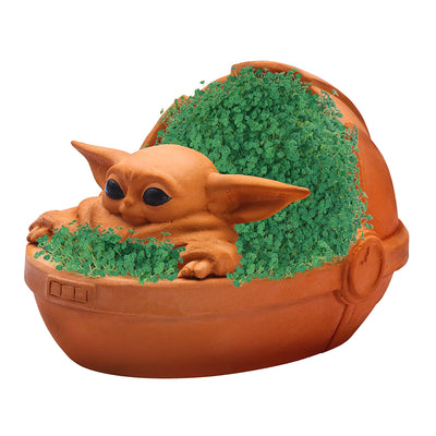 chia pet seeds