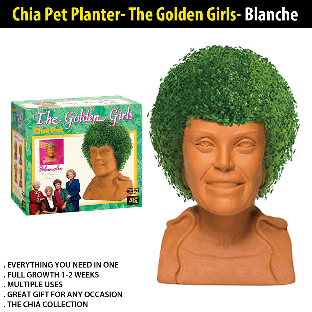 plant pots