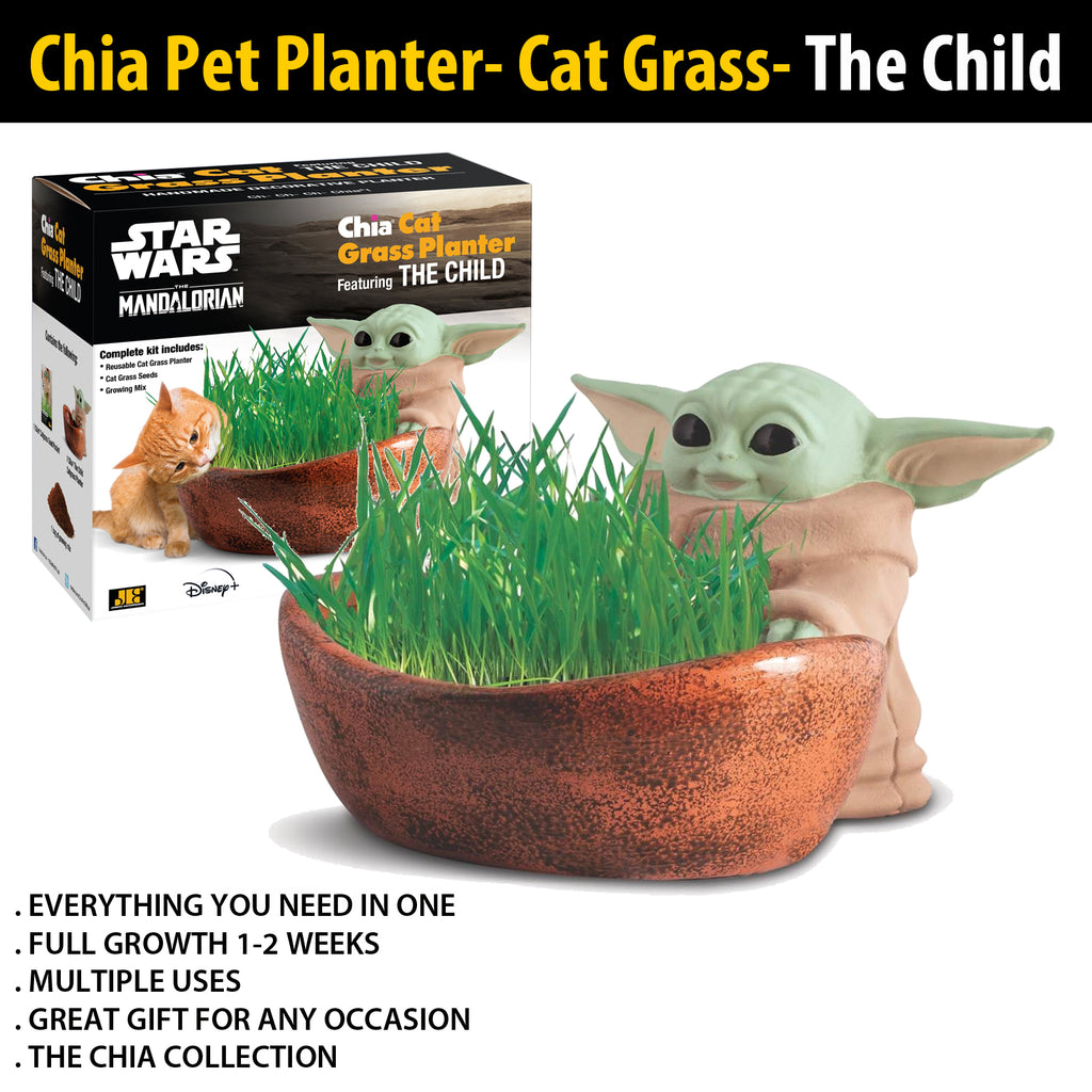 indoor plant pots
