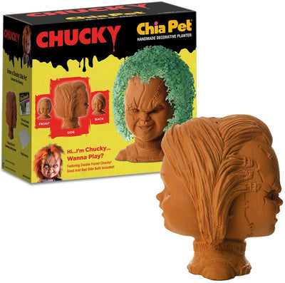 chia plant