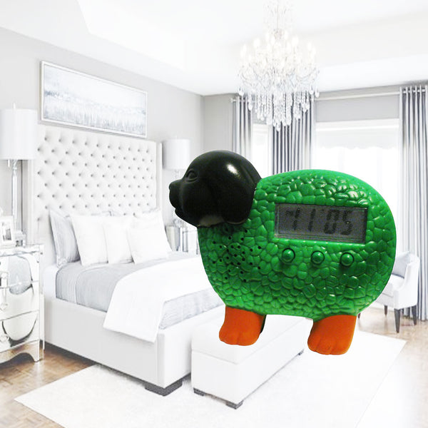 chia garden