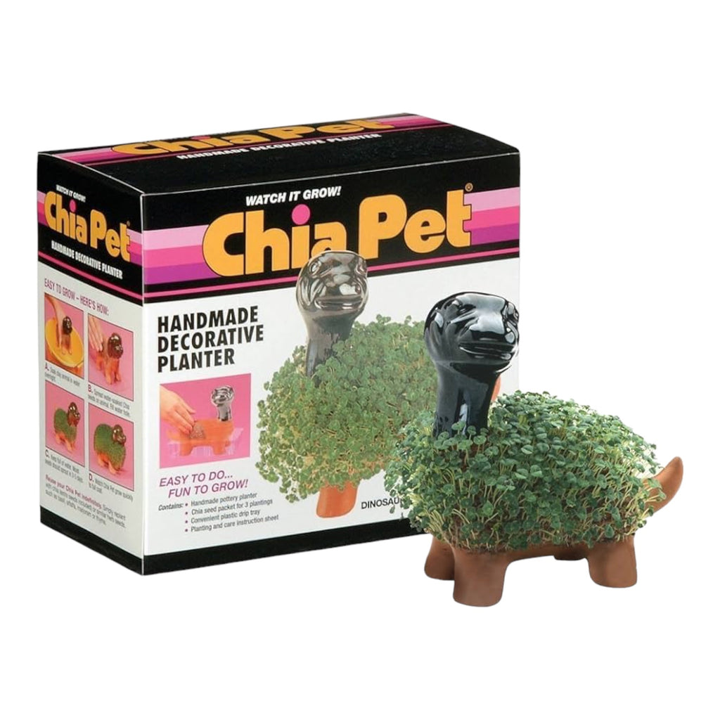 Chia Pet Planter- Dinosaur