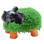 ceramic plant pots