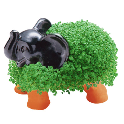 ceramic plant pots