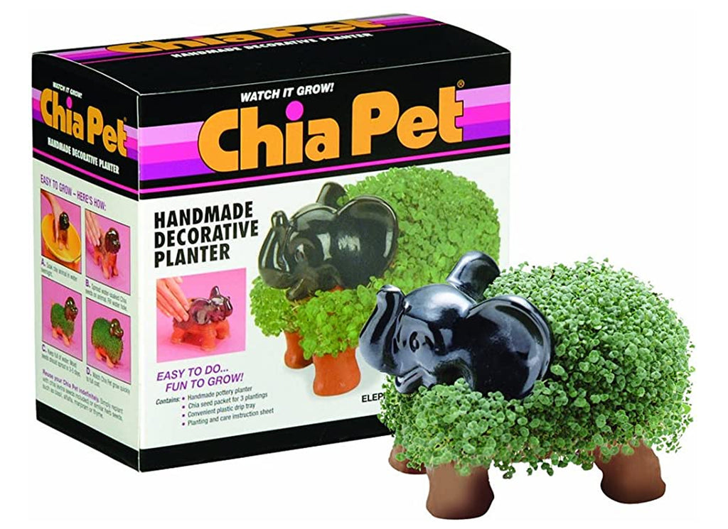 indoor plant pots
