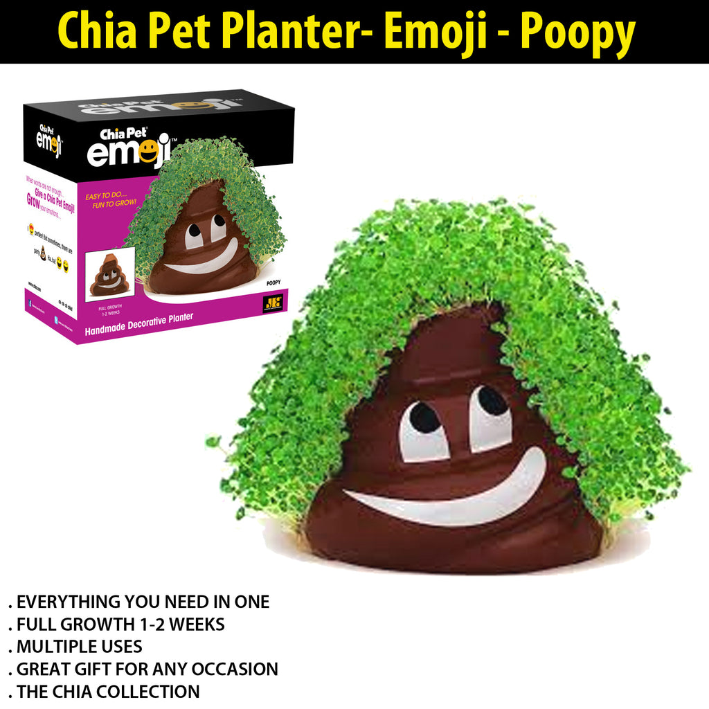 plant pottery