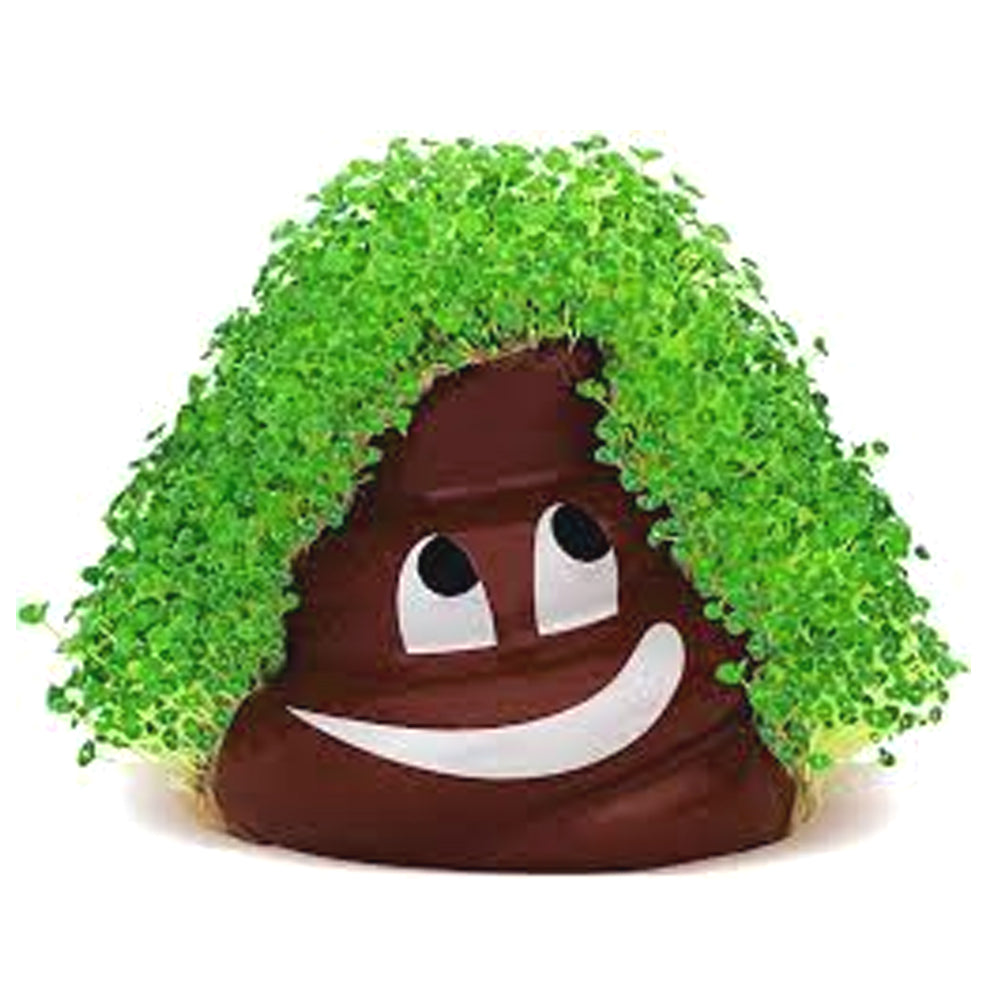 Chia Pet Planter - Emoji  - Poopy