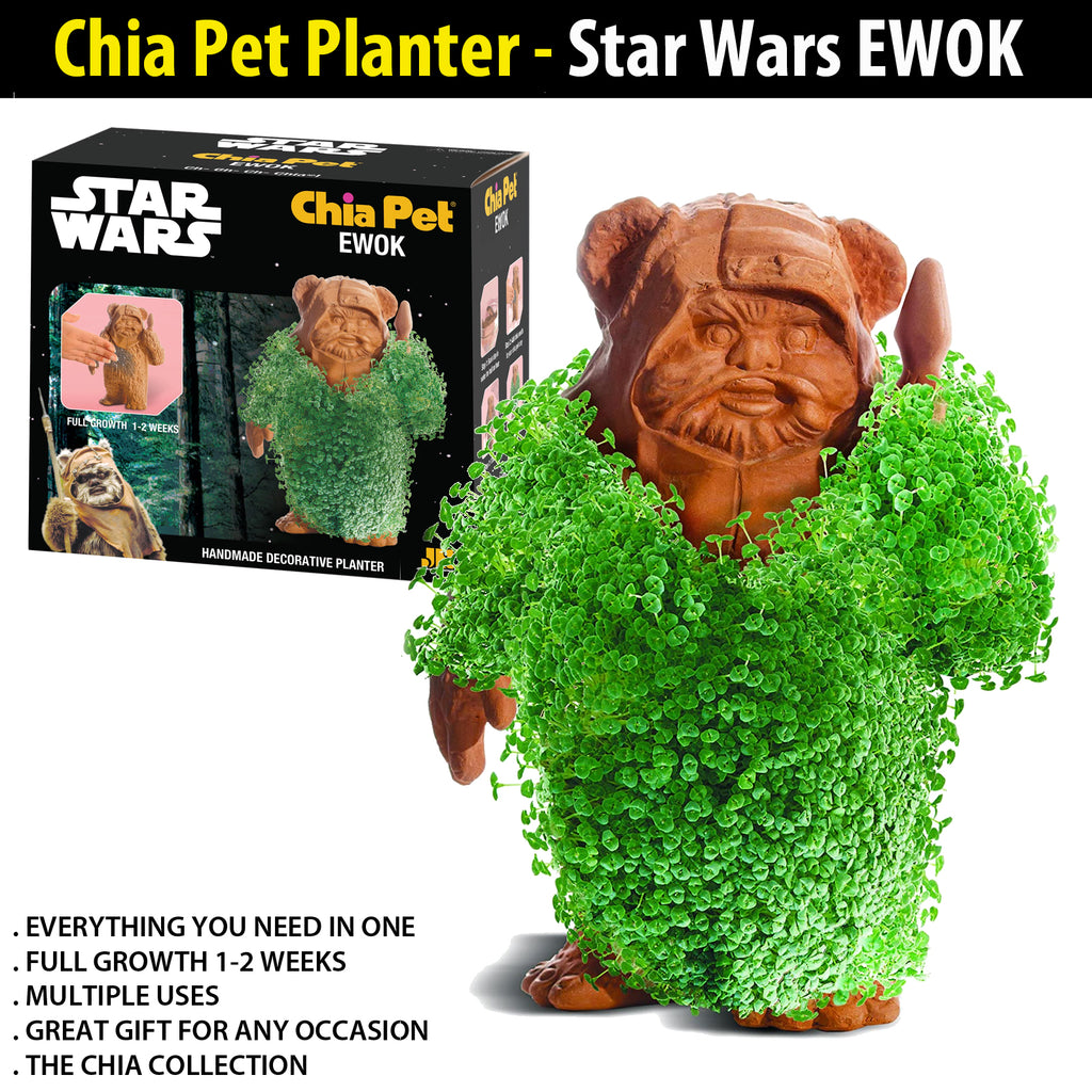 ewok star wars