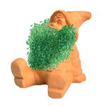 Chia Pet Planter - Gnome