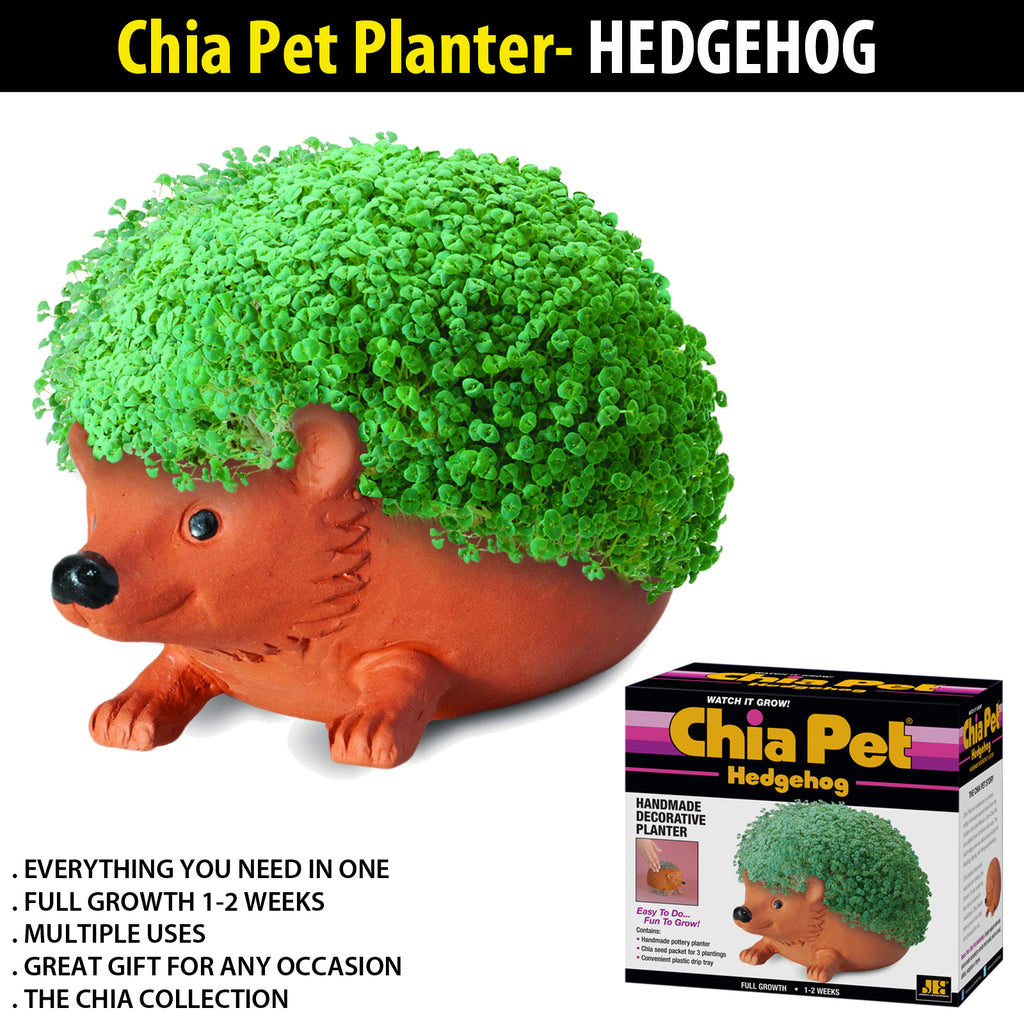 indoor plant pots