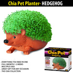 indoor plant pots