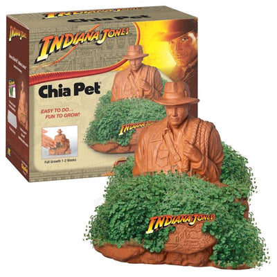 indoor plant pots