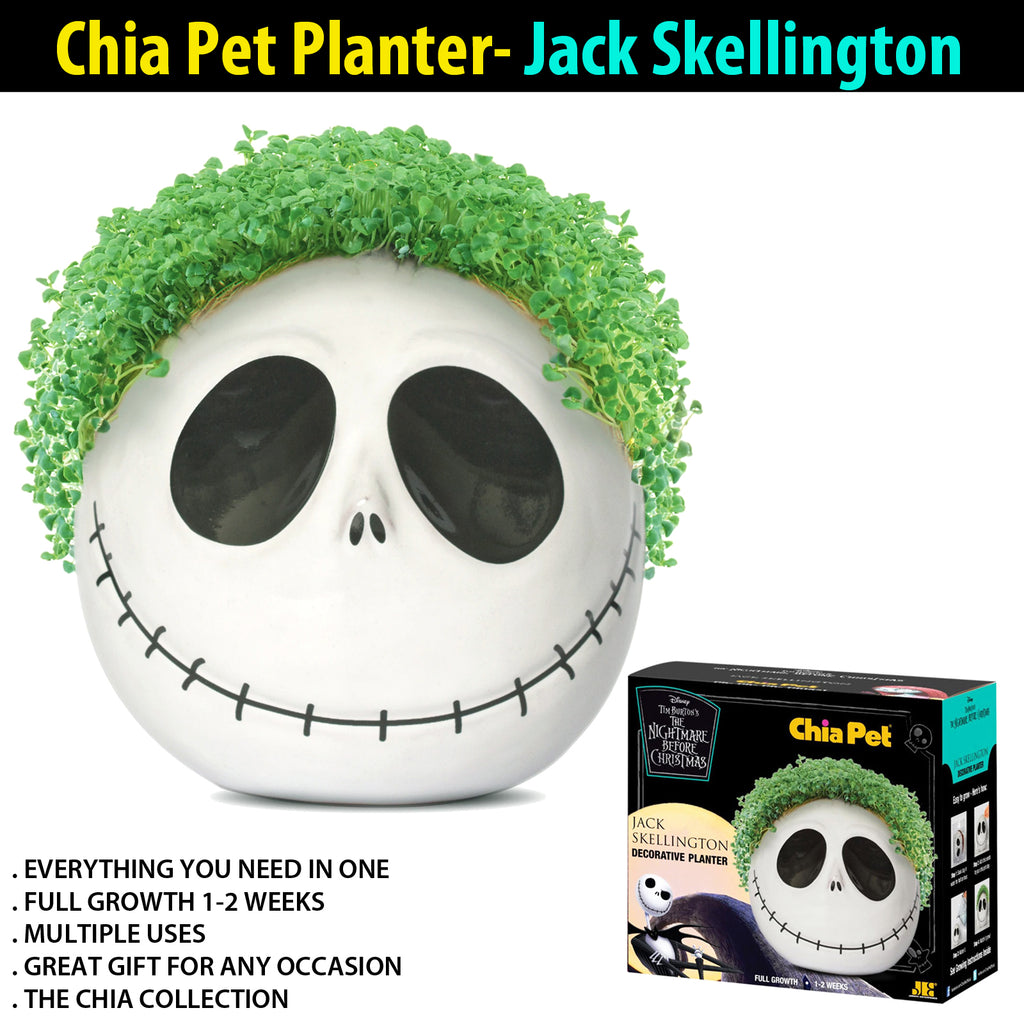 plant pots