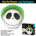 plant pots
