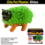 chia plant