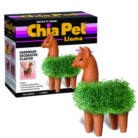 Chia Pet Planter - Llama