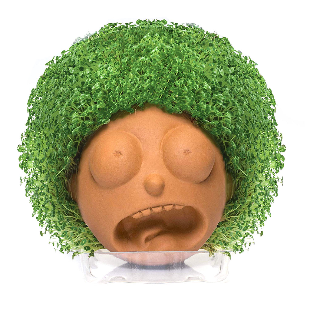 Chia Pet Planter - Rick & Morty -Morty