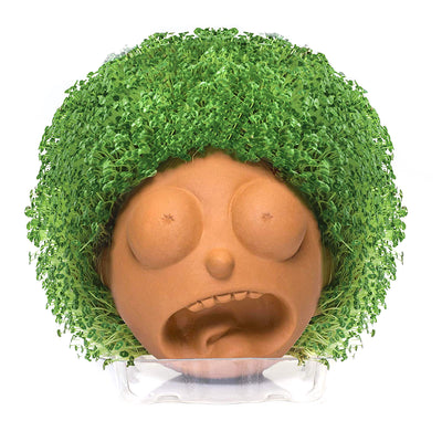 rick and morty chia pet