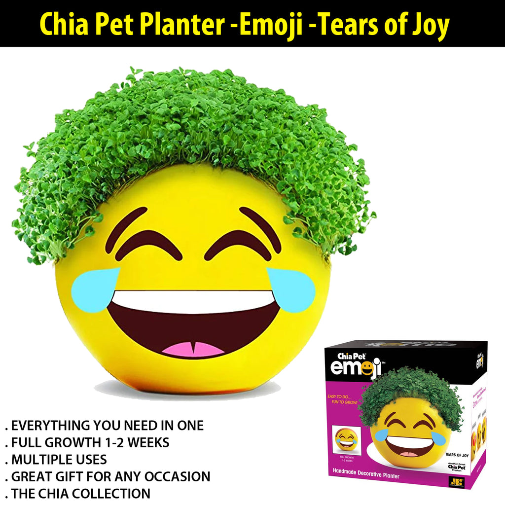 unique plant pots