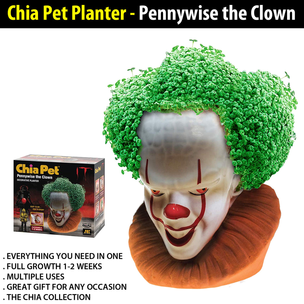 plant pots