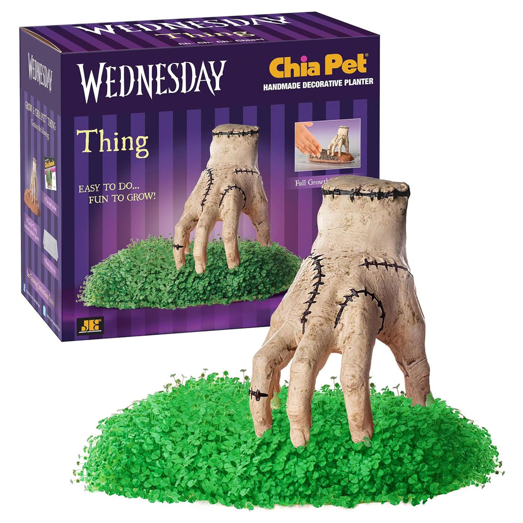 Chia Pet Planter - Thing