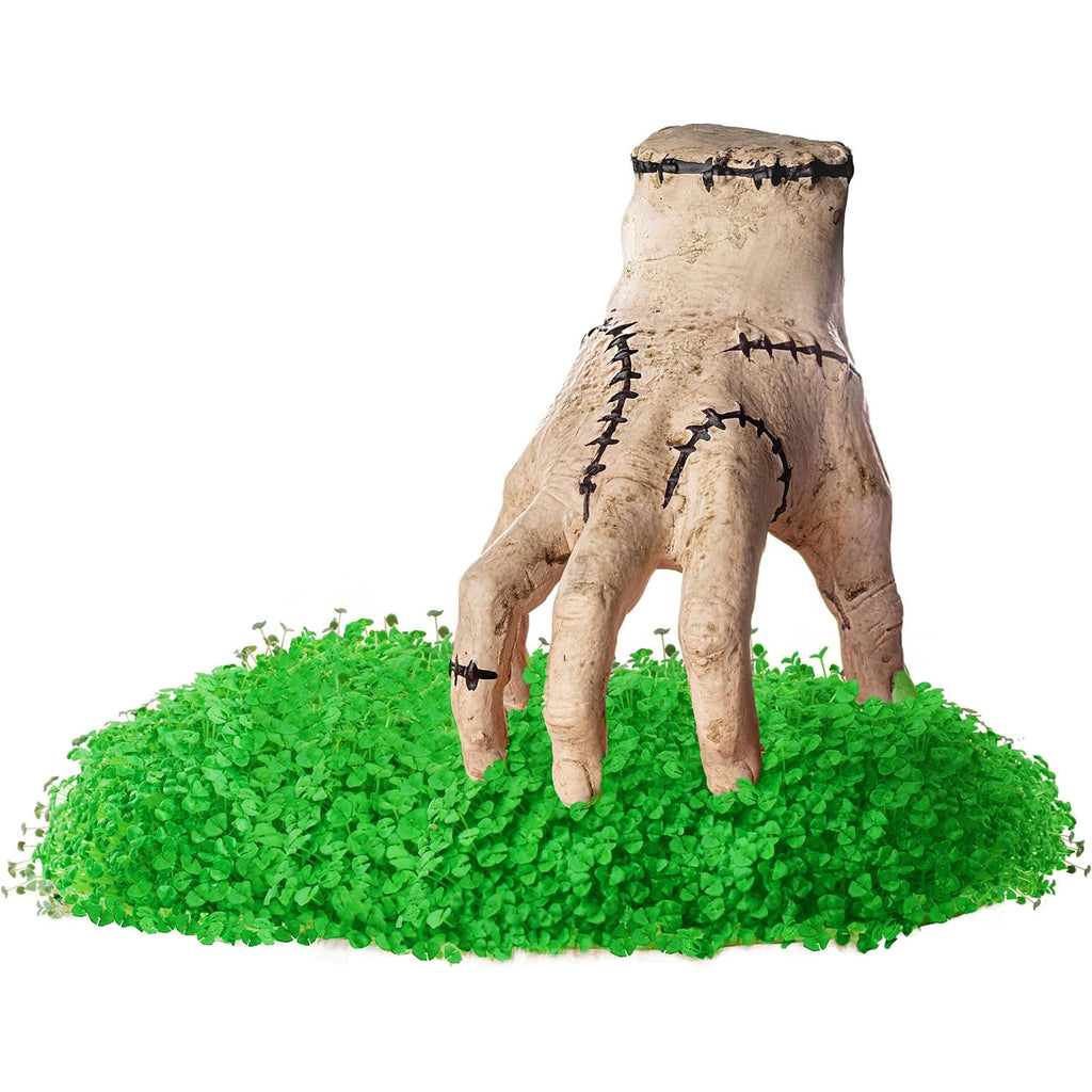 Chia Pet Planter - Thing