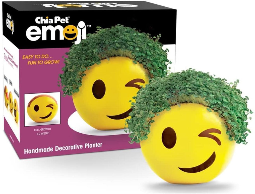 Chia Pet Planter - Emoji - Winky