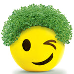 Chia Pet Planter - Emoji - Winky