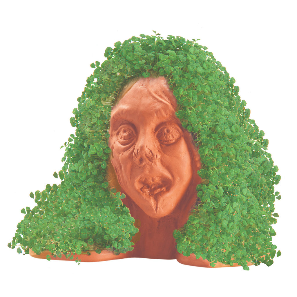 chia planter